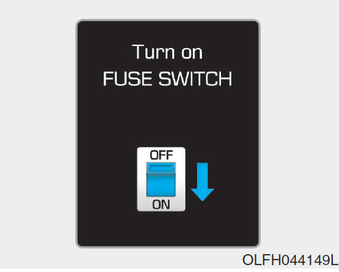 Schakel de FUSE SWITCH in